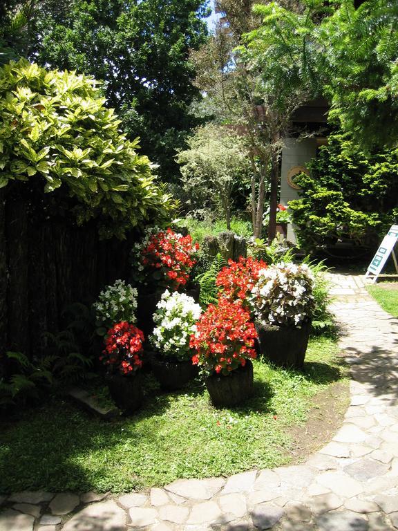 Rapaura Watergardens Bed & Breakfast Tapu Exterior foto
