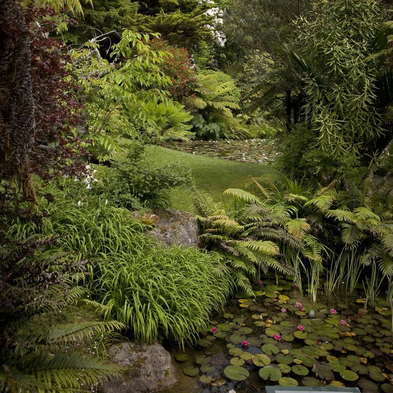 Rapaura Watergardens Bed & Breakfast Tapu Exterior foto